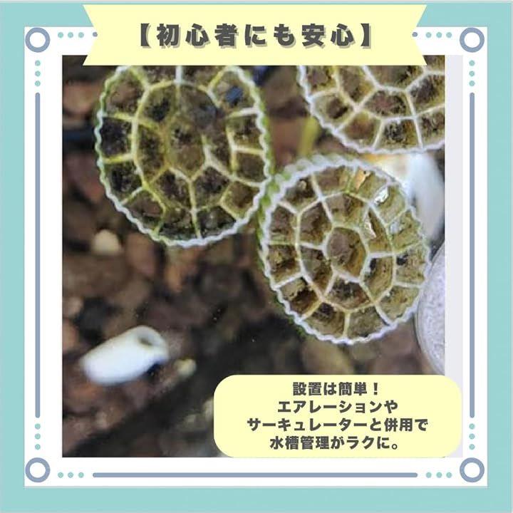 fffffcdfdfffc0a3d007c03fc02fc00bc00bc003c003dc03c1dfc1ffc19fffffb39393938229231f8210223182d52b2a