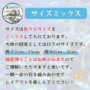 ffffbfffe022f800effff57ffffffffff652ef3fffffffffecf7dffdfffdffffa4a29ea4a5a4a299a04844469f3d7248