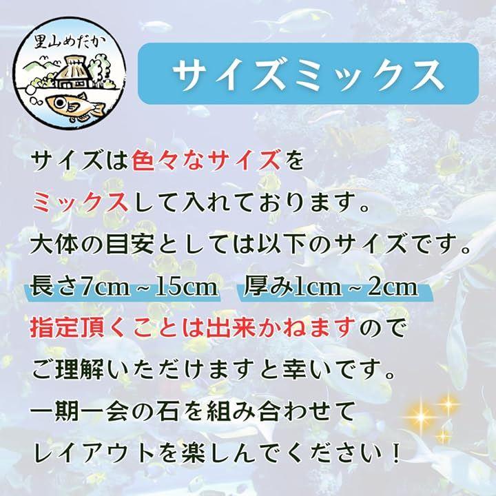 ffffbfffe022f800effff57ffffffffff652ef3fffffffffecf7dffdfffdffffa4a29ea4a5a4a299a04844469f3d7248