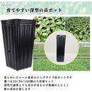 fffffffffffffd4080528120805a80ce80cc80cc8148c21cec10bfffc37fdfff7453776f00ae394200ab2b3200004149