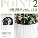 fffefffffffffffffeb8feff9401fc88ca008200c301fdfffcffffffffffffff2b002b80003d4b0000a41f1e000000ab