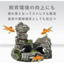 fffffffff2f3f7cbfffffffffbffc0ffe9e7f8fff047f007f007e01be003f00f9c9c9c9cabababab000000190025292b