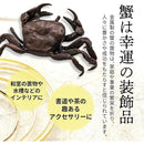 fffffbfde37de13fe03f009f401d3c5dbf9d7fffffffdfffffffbf7ffdffffff000000002b080b00263333241e272924