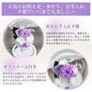 ffff8b028460ffffc1ff88ff88ff9c9f80ffd7c3f7a1ffd0ff84ff80d5a7fff3000000002b92dece2bba1a1aded222c9