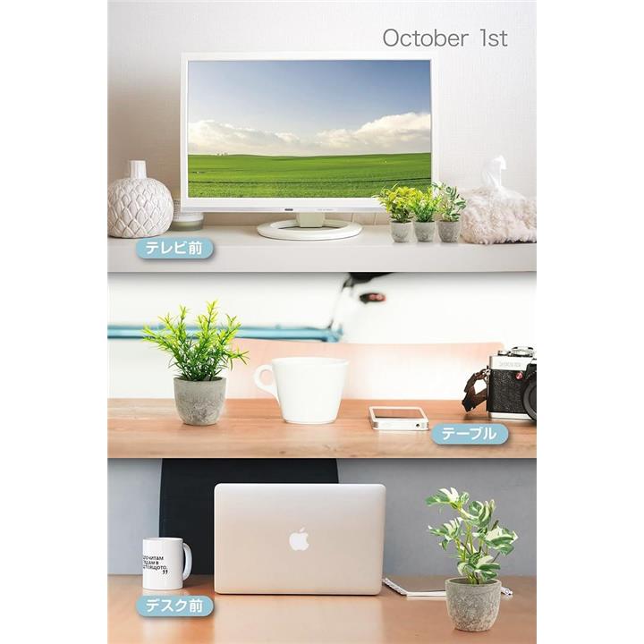 ffffffff2e071fff40077fef47e0ffbfffffe7ffe188018000008fc4bfc207c0ebebebab1236373b3d242b2b93929aab