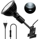 fffff9fffce5f8e0d0e0c0e1c07ffe3fff1fff9eedefebf1fbf9fbf9fbf1fbf000000000000000000000000000000000