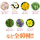 dd9990000800bf99ffffffffffffe667c003c003c663ffffffffffffec07ed07