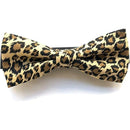 ffffffffffffffffffffeffdc3e5c081c001f001e003f3ffffffffffffffffff0000000000000000001b191800000000