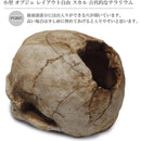 ffffff37fffffbbcfc7ff00fe407c003c003c001c001c003c003c003e007fc070000000000001800001a1704000e1517