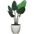 fffffff7fe67fe07fa07fc07f98ffddffe3fffffffbfff7ffc1ffe1ffe3ffe3f000000000000645c00003d0000000000