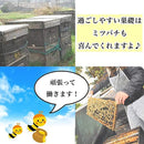 ffff05ffdc5fe07f007f0073007f007f01088766efe8c7d480f1f381d789b380