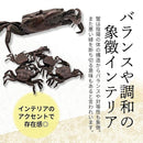 fffffcffe02f00b70fdbbfd9e3cfc0ff803fc4e7f7ffffffffdff9efefffffff000000002b0000002bf96b0000272b80