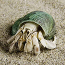 7fffeffbfffffb5ff407e823c1b3439204f30a63297b05dd0305800bd0ff7ff7211f1f201f245a571c461235210f1f1e