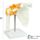 fffffe1ff007c01fc01fc01fc01f681fe91fed9fedffe8ffc07fc03fe060ffe1