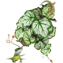 fffffff7ffe3ff09fc01fa03f51bf02bf161a513f807f803ff87f7f7e7f7effb