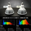 3ff07ffcfff67ffefff80e3c1bb01ae401c000000000003c3c3e00000000604200eb1ceb1c241e1b2b2b1e0000260026