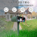 00ff008f00ff00ff3ef792a700330a0d181f18f1a11fab334364000000000000a2a297ab97922b04336bab31352d613e