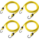 fffff1e1eeceef7eaeaeb071fbfbffffffffe4e5cefeaf3ef0e0fd7dfbfbffff