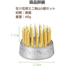 ffffff3ff8bfe7ffe7fffffffffff9dff81ff81ff00ff00ff20ffa0ffe7fffff00000000001100000000210000abab00