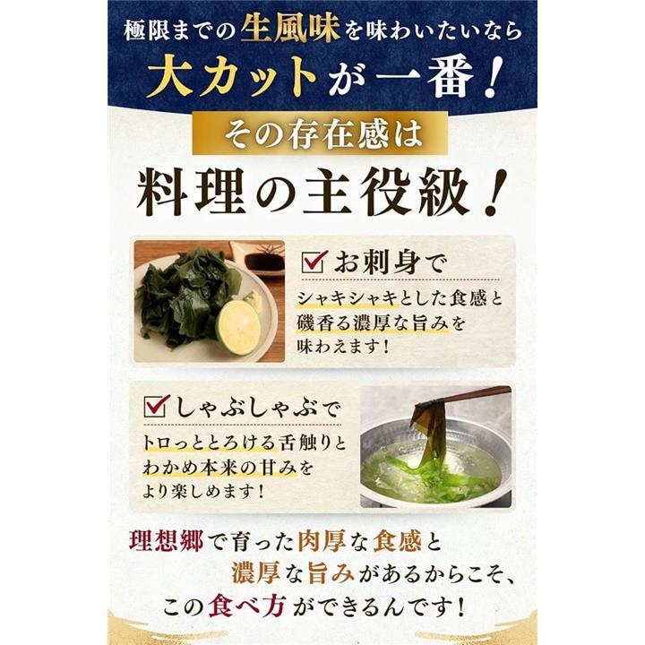 000000000b48f427ffffd1f3c1ffc5ffc5cbffffdff7ff41ffd1fffffb7ff2ff9c9e9c9c322b1e339c2e1c173c1c1f36