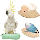 fffffffffffffb9dfb8fe201e300f3e3e3ffc1ffc1d3c1c1c181c18000e080ff000000000024801c001c0000001d008b