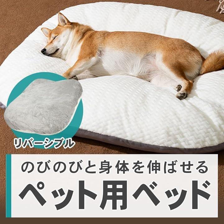 000007fe01ff3cc375f0f8f8dbffbffb7fff33ff203e00007b9f6d2d71217fff121111101217131210242b221200001c