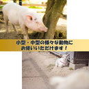 6f0f7f1f7f0f3a1f073f000f000f0007000ff210f3d0f1e0f070f07ff07ff03f