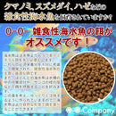 0000384a5e660000a947ff98f636ffeeffc1e6c2e7c0ff92ff80cdc1ffc6f7bf000000009c3901a097a989158b000017