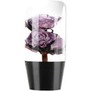 ffffffffffffffffffdffffffc3ffe3ffc1ffe1fff7ffc1ffe3ffe3fffffffff00000000000000000000dd0000000000