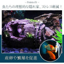 fffffffff7ff800080198010af6081d085ef908c0817000000220802002020000000000000c4abd200b3d2c28eb3ab49