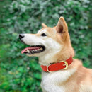 020b3a0109100031103029e01ff80ff840f82cfc01f80586041f00ff20ff00ff3c6f657e60666f444f57301526610315