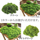 ff81ff44c10080808080c181ffe1fffcffffffff847f00e100c080c08061e1ff00001c190041314700000000243a3637