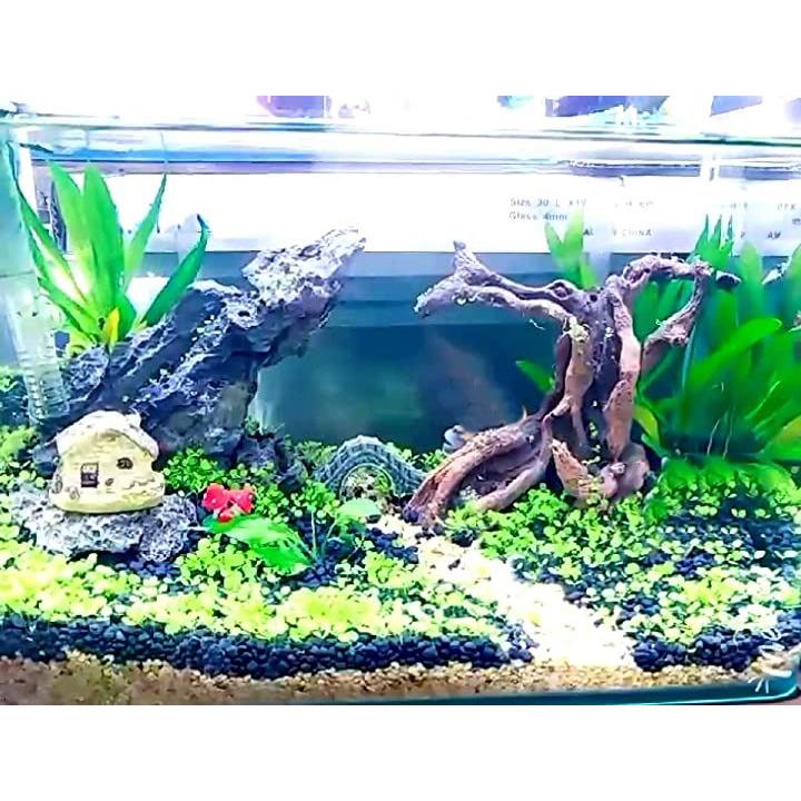 fffffff7fff35fff97fd9850c400e0001000b060b148c3709a48f77306f9002b