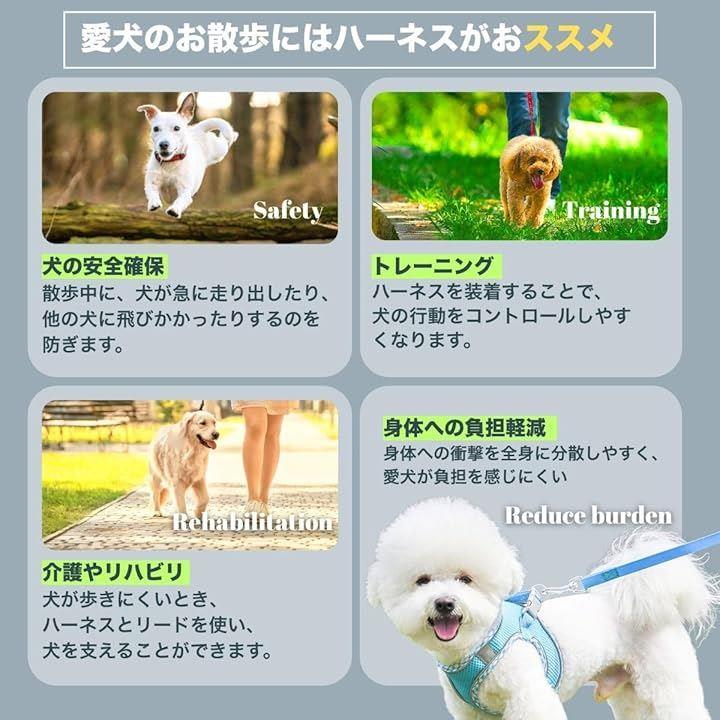 000039b07f7f0c87088100814f9f179f7f7f477f3dbf1fff7fff7fff3fdf7f5d90909090901294f6908f928f902b9497