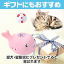 000004170000ffffff83ffb1ffd4ff80dfffbfffff6ffe44fc5cfc5cd0fbfde08b8b8b8b302b1a152b2e25122eeef224