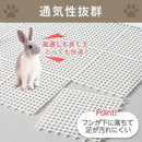 000006d0000064ffdc1fe17fc3cfdfff1fff134cf0f8f9d49a78ff7bfffbffff16161616000031802b1cc71c22b31722