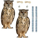 ffffc3ffc3ffc3ffcbfec18e810e854e830e82868606c606fe0efe0eff1fff0f000000000019000000161a0000801400