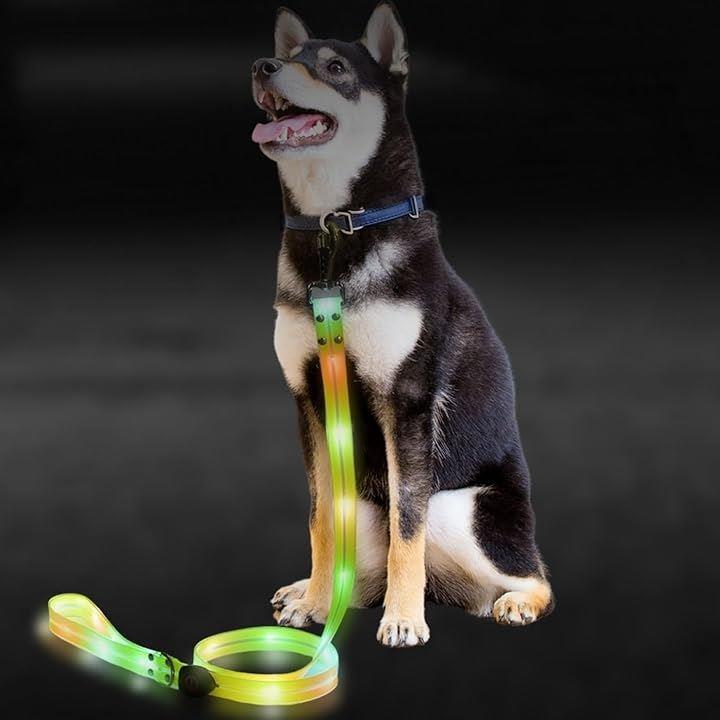 0000000003c003800100000000a0ffdffefffe5fff1fffe401e001f86240170000000000000000000000130000001c00