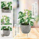 fcffb6ff967f86fec5ee8533fd93ed32ad84ad328e099f808787c787cfffbfff1c1c440f1c2b92161c1c41491c541624