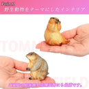 000000003c20ffffff9fff8cff00ff80fe00ff04f8f80c7f007f0c7f803f021bf5f2ede6000000000004080909081c00