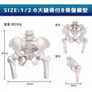 000000000000fffbffe1f3e1f3e1d3ffc0ffe1ff80f7eff7fffbdfffffffffff