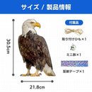 00000a700000fffff9f1f7f7f1fdf0e5f07ff07ff07ff86cfa3ff1bfffbfffff9a9a9a9a00000098000e150000001b00