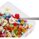 ffffffffffffffffefff5fff10ff04ffc930880f200f041bc007100f401f0a3f00000000ab13bc001919abc717050b01