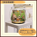 000059ff7d2b7e9f7fff7c8f7c1f7a2f7a0f781f6c1f60ff6e7f6f4c6fd47fff0101010101fc1f100104131a0104120f