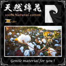 00000d402d5c00140018201800002dde37de2ffc177a05d20fac236400001c0000000000000000000019171400879515