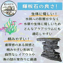 fffff800fa44dfffef09ff69ea1997efcfffffffcde0ffe1ffe0fff1ffe8b638a4a29ea4a5a41b1aa086a24f9f3a95a2