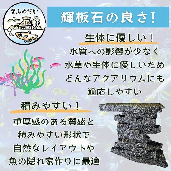 fffff800fa44dfffef09ff69ea1997efcfffffffcde0ffe1ffe0fff1ffe8b638a4a29ea4a5a41b1aa086a24f9f3a95a2