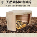 ff7fbc57fffffffdffffffffffe3ee031e201eb01f800f200e000e002000ffff1c1f181f000000001015161100121706