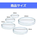 000005100000fffffffffdfffb67fdbfef7fdfdcbff7bceffdffffefffffffffa3a3a3a30000000000928b9300009b8b