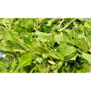 e1b3f5504e2dc234e14cd5f6fbf79b34df98d47c8878c6e70d14cf40e16873a03234303a323d3a3332302f3637353d35